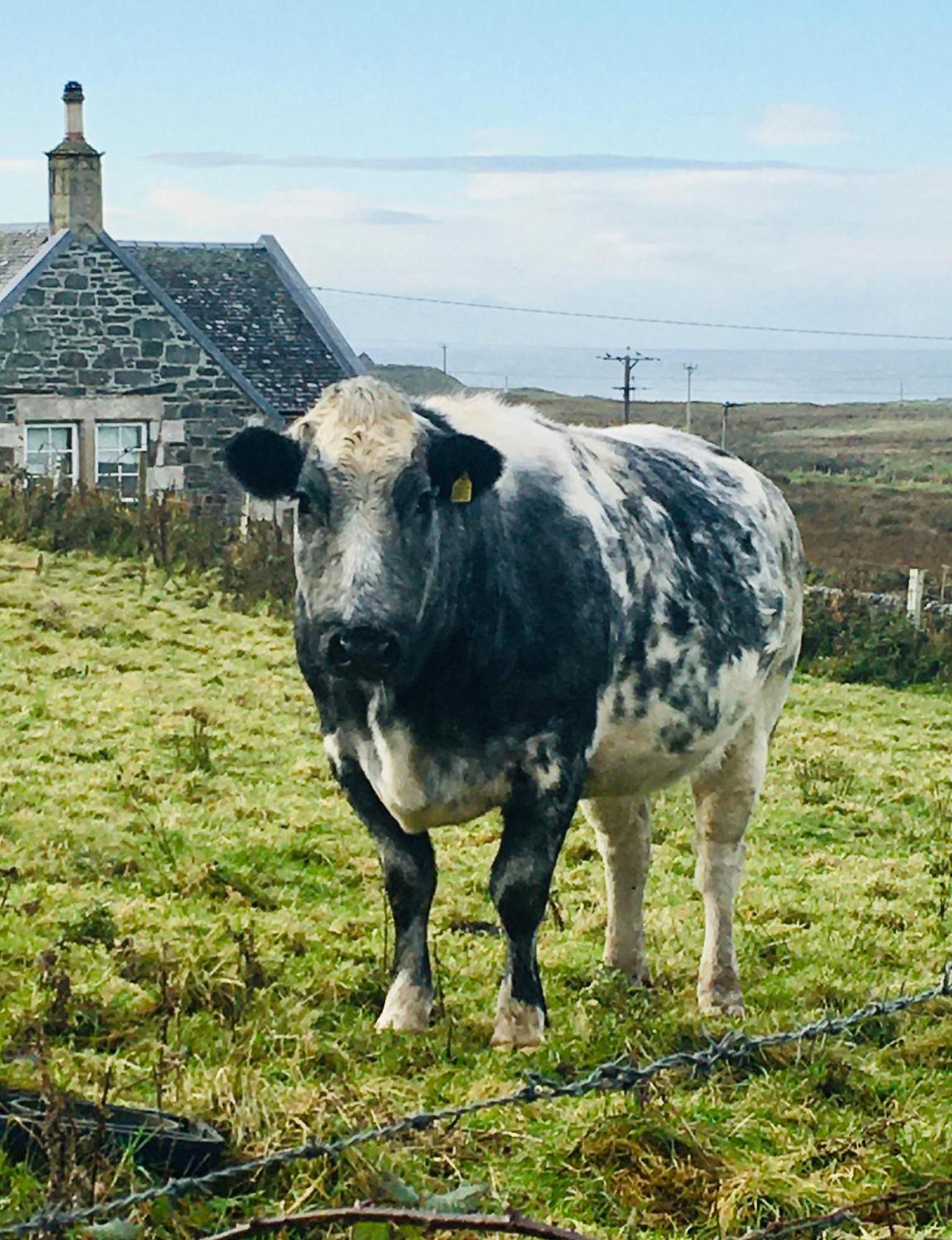 Burnside Lodge Portnahaven Екстериор снимка